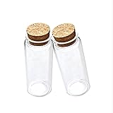 ELYSAID 2pcs Empty Clear Glass Bottles Vials with