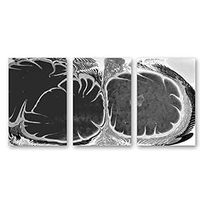 Ink Water Spreading Painting Artwork for Home Framed...