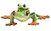 Safari Ltd. Red-Eyed Tree Frog with Baby - Hand-Painted, Lifelike 2.75