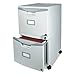 Storex Two-Drawer Mobile File Cabinet with Lock, 14.8 x 18 x 26-Inch, Gray (61301B01C)