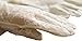 Urban CoCo Vintage Spring and Summer Women's Lace Cotton Short Gloves (Model 2-White)