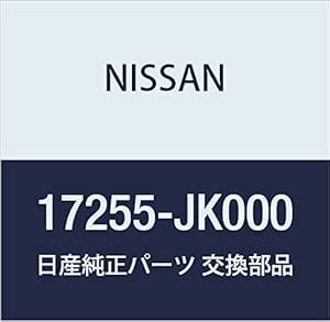 Nissan 17255 jk000