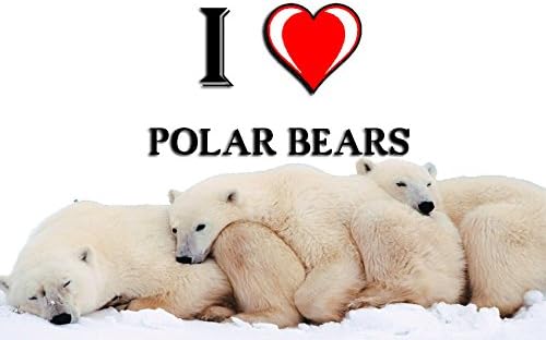 I HEART POLAR BEARS FRIDGE MAGNET
