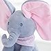 Floppy The Peek A Boo Elephant, Interactive Plush Toy Sings & Plays Peek-A-Boo, Anti-Stress Stuffed Animal Doll for Infants, The Best Gift for Baby Showers, Toddler Birthdays, and Christmas