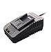 WORX WA3881 18V/20V 60 min Quick Charger, Black primary