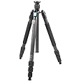 Sirui w-2204 Waterproof Carbon Fiber Tripod, Black & Polished (6435)