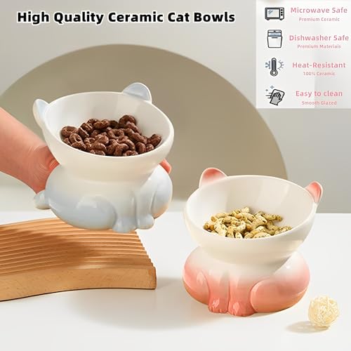 Beauenty 2 Pcs Ceramic Elevated Cat Bowls - Tilted Raised Cat Bowl Anti Vomit Cat Food Bowls for Indoor Cats, Whisker Friendly Design, Microwave & Dishwasher Safe
