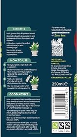Westland Houseplant Mist & Leaf Shine 250ml view 2