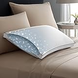Pacific Coast Double DownAround Medium Pillow 300 Thread Count 550 Fill Power Down & Resilia Feathers - Standard