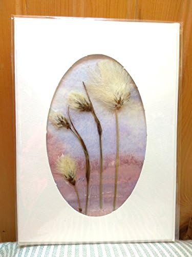 Handmade greetings card from the West of Ireland. Watercolour and wild flowers. Bog Cotton, 2nd wedding anniversary card 5" x 7"