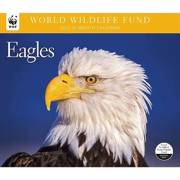 Calendrier 2023 Wwf Amazon.com : Calendar Ink, Eagles Wwf 2022Wall Calendar : Office Products
