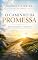 Livro O CAMINHO DA PROMESSA: Doutrina, História e Vida Cristã à Luz da Fé Reformada Confessional