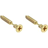 16GA 316L Stainless Steel Screw Stud Earrings, Sold as a Pair