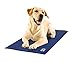 Walky Dog Cooling Mat, NO Chilling or Freezing Required, Pressure Activated Cooling Mat, Works on Any Surface, Works Indoors or Outside (X-Large) 37 3/4 X 31 7/8