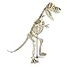 9 ft. Standing Skeleton T-Rex Dinosaur with LED Illuminated Eyes