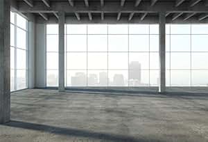 Amazon.com : Leyiyi 6x4ft Business Office Interior