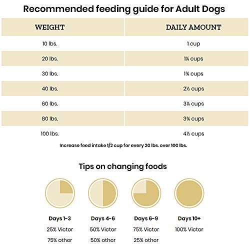 Victor Hi-Pro Plus Dry Dog Food - Thumbnail 2
