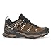 Salomon Men's X Ultra LTR GTX Hiking Shoe