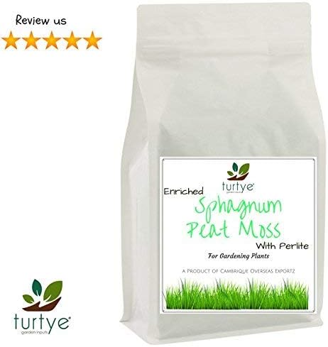 Turtye Perlite Blended Sphagnum Peat Moss (2.5Kg)