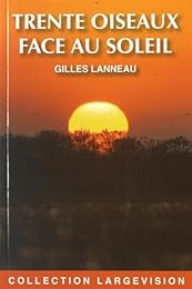 Trente oiseaux face au soleil