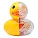 4D Vision Animal Anatomy - Bathing Ducky Funny Anatomy by Jason Freeny