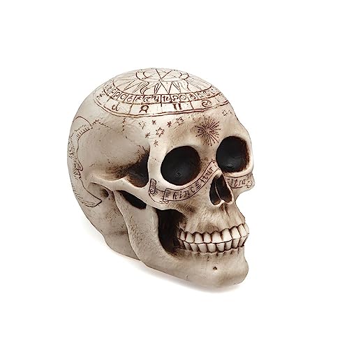 BigBuy Party Decorazione, Standard