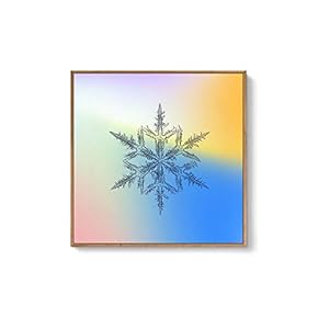 Framed Canvas Wall Art for Living Room, Bedroom Snowflake Theme Canvas Prints for Home Decoration Ready to Hang - 16x16 inches
