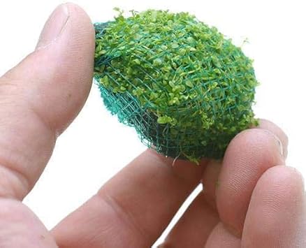 Amazon 水草 巻きたて キューバパールボール 無農薬 ３個 北海道航空便要保温 Charm チャーム 生体水草 通販