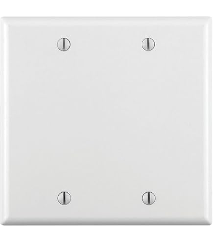 2CD＋VHS Can Box Eaton 93152-BOX 2-Gang Blank Stainless Steel Wallplate - Amazon.com