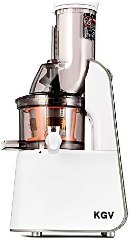 KGV Professional Vertical Masticating Juicer Extractor for Wheatgrass and Fruits