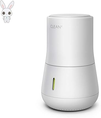 Luftreiniger Mit Chlordioxid Sterilisation Gegen 99 85 Formaldehyd Bakterien Smells Allergene Pollutants Nullenergieverbrauch Zero Noise Null Verschmutzung Multiple Funktion Pota Amazon De Beleuchtung