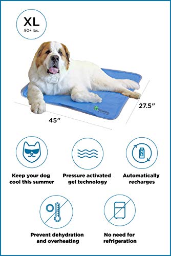 1 Green+Pet+Shop+Cooling+Extra