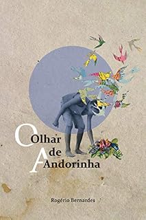 Livro Olhar de andorinha
