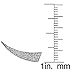 Sterling Silver Cubic Zirconia Horn Crawler Climber Hook Earrings