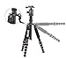 ZoMei Z669 Magnesium Aluminum Alloy Travel Camera Tripod with Ball Head for Canon,Sony,DSLR