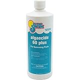 In The Swim Swimming Pool Algaecide 60 Plus - 1 Quart