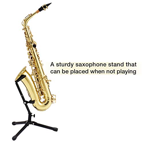 5 Eastar+Student+Saxophone+Carrying+Mouthpiece