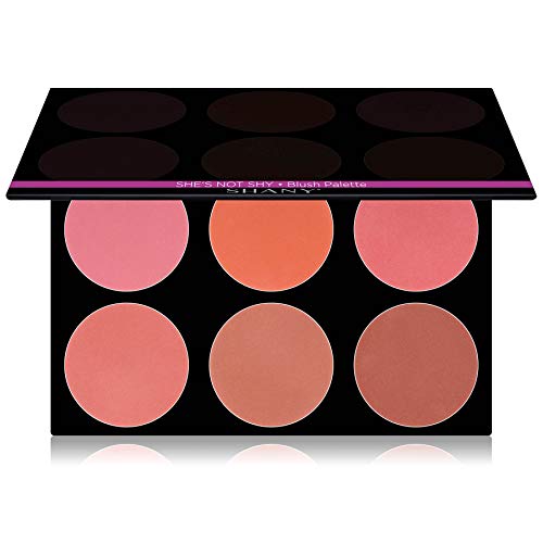 SHANY The Masterpiece 6 Colors Large Makeup Blush Palette - SHE'S NOT SHY