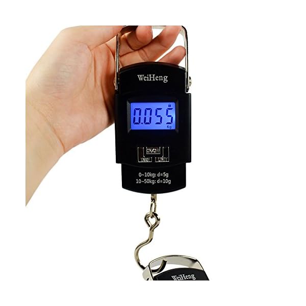 WiseField-110lb50kg-Electronic-Digital-Hanging-Luggage-Fishing-Hook-Scale-Black