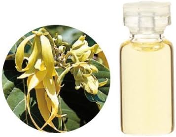 Aroma Japan Import Tree of Life Herbal Life Essential Oil 3ml - Yiran Yiran (Harajuku Culture Pack)