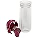 Aladdin Custom Tea Infuser, Orchid, 12 oz