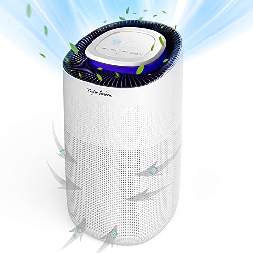 500 sq ft air purifier