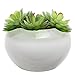 MyGift 6.8 Inch Round Plant Bowl - Modern Glazed White Ceramic Succulent Planter Pot with Drainage Hole