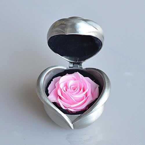 FANStek Preserved Flower Rose, Never With Roses Artificial Flower, Upscale Immortal Flowers, Fresh Roses, Eernal Life Flowers for Love Ones, Gift for Valentine's Day, Anniversary, Birthday (Pink)