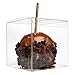 4x4x4 Caramel Apple Boxes With Hole for Sticks, 25 Pack, Clear Gift Box For Candy, Cupcakes, Macarons, Cookies, Party Favors, Bakery, Wedding, Baby Shower, Ornaments, Food Safe Crystal Clear Display