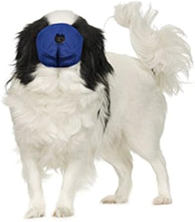 brittany ferries dog muzzle