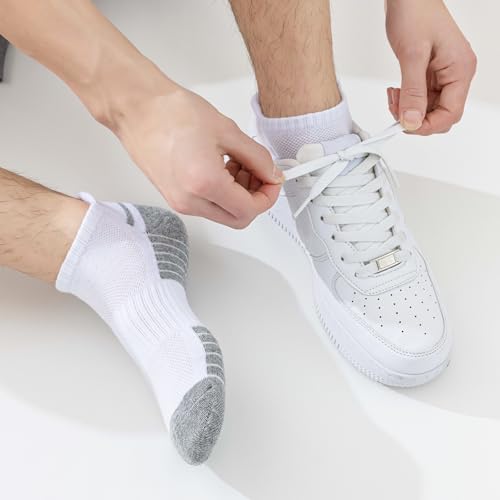SockWaddles Trainer Socks for Men Women,6 Pair Breathable Ankle Socks with Cushion,Anti Blister Running Socks with Arch Support，Low Cut Cotton Sports Socks