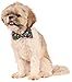 Rainbow Sequins Pet Bowtie, Small/Medium