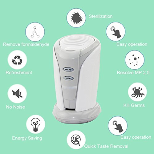 Top 10 Best Air Fresheners For Closets Top Reviews No Place Called Home