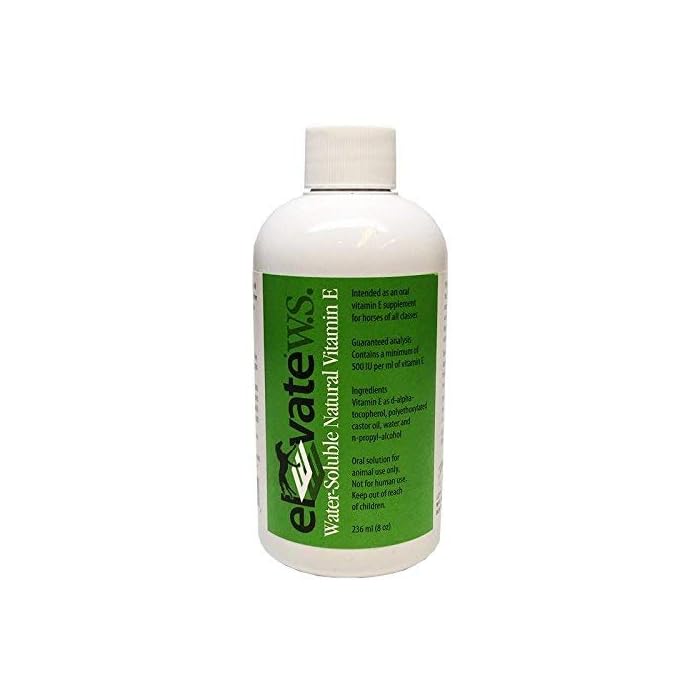 Elevate WS Water-Soluble Natural Vitamin E Supplement (8oz)